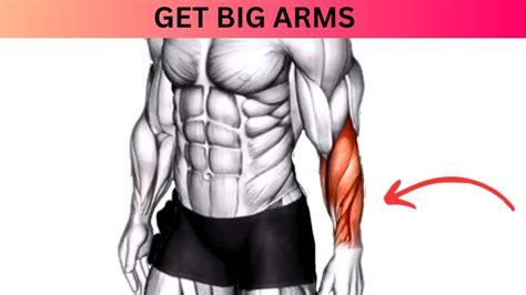 How To Do Forearms Workouts At Home Big Arms Youtube