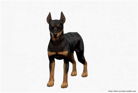 Miniature Pinscher Makeover At Blue Ancolia The Sims 4 Catalog