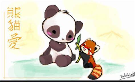 Kawaii Panda And Fox Panda Drawing Panda Art Cartoon Panda