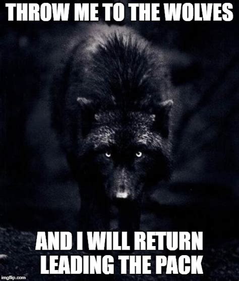 Black Wolf Memes And S Imgflip