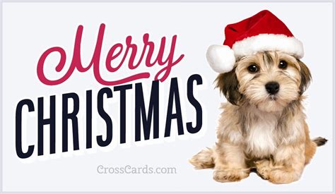 Merry Christmas Ecard Free Christmas Cards Online