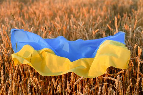 What The War In Ukraine Means For Us Agriculture Modern Farmer