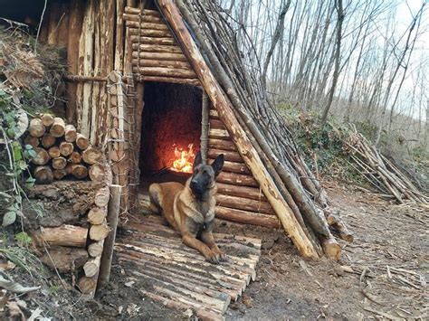 Build Your Own Survival Tiny House Winter Camping And Bushcraft Skills