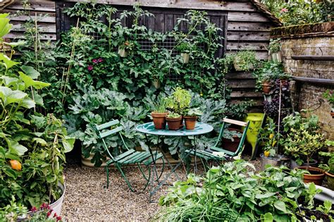 Assuming you have a cool winter and a moist cooler garden spot. Grow your own veg: the best fruit trees and vegetable ...