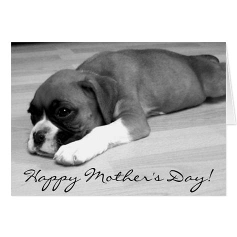 Happy Mothers Day Boxer Puppy Greeting Card Zazzle