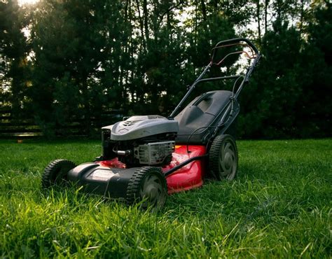 Lawn Maintenance Tips For Spring And Summer Spot On Inspection