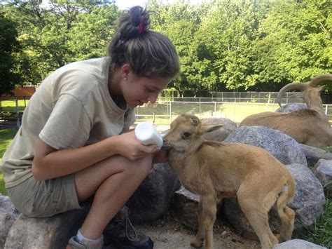 Student Stories Veterinary Major Enlightened By Exotic Zoo Animals Penn State University