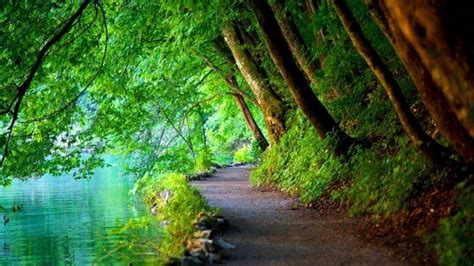 Nature Trees Path River Landscape Croatia Wallpapers Hd Desktop And Mobile Backgrounds