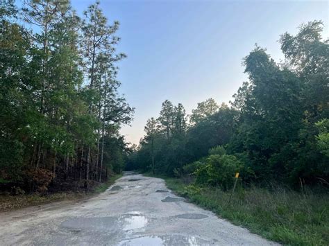 Citrus Wildlife Management | Trail 9, Florida : Off-Road Trail Map