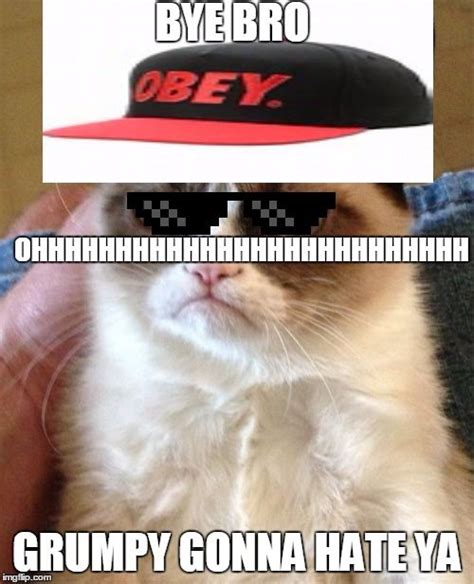 Grumpy Cat Meme Generator Imgflip Memes Pinterest