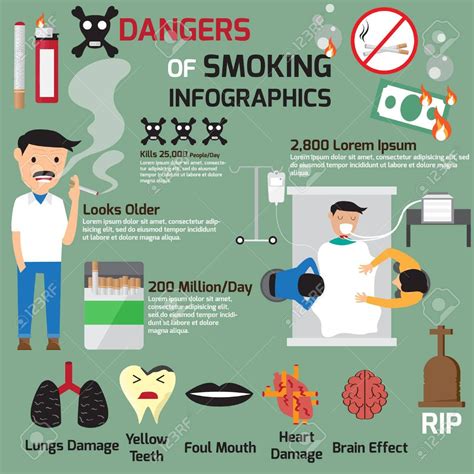 vector dangers of smoking infographics vector illustration dangers of smoking anti