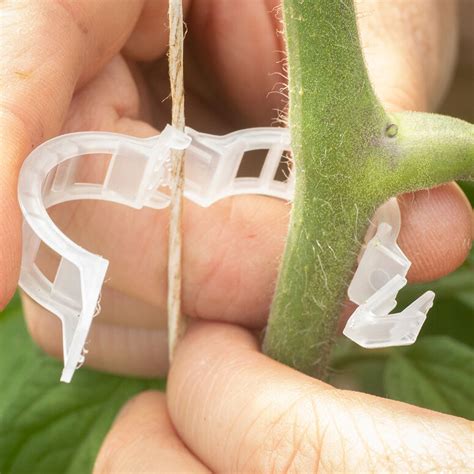 Tomato Trellis Clips 500 Count Johnnys Selected Seeds