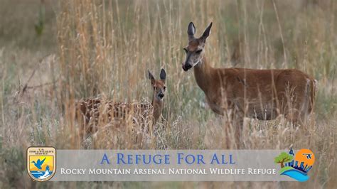 A Refuge For All Rocky Mountain Arsenal National Wildlife Refuge