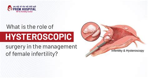 Role Of Hysteroscopic Surgery In The Management Of Female Infertility