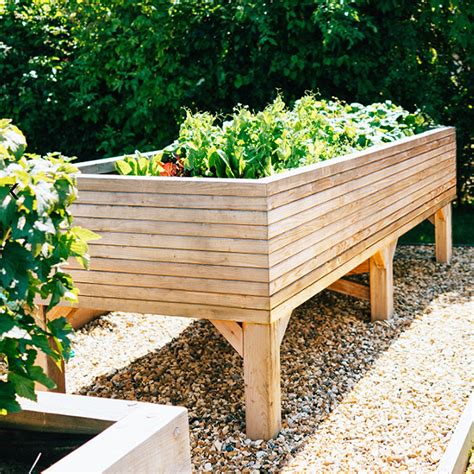 Wooden Vegetable Planters On Legs