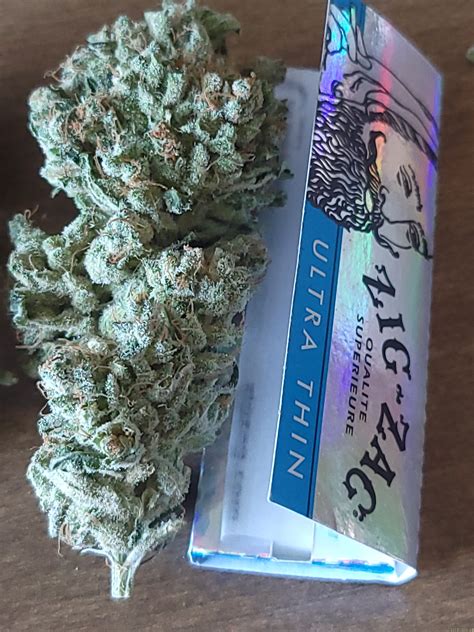 Super Silver Star Top Dawg Seeds Cannabis Strain Info