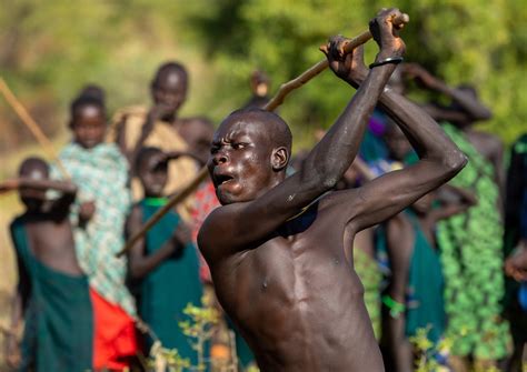 suri tribe warriors fighting during a donga stick ritual … flickr