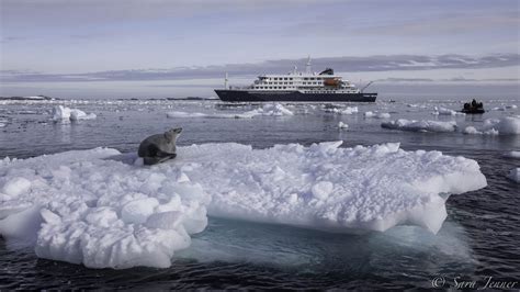 Antarctica Elephant Island Weddell Sea Polar Circle Polar Holidays