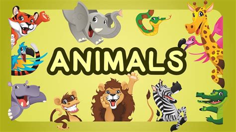 Teaching Animals Video For Toddlers Animals Names For Children