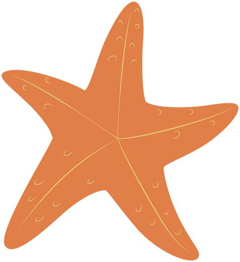 Starfish Clipart Free Download Transparent Png Creazilla