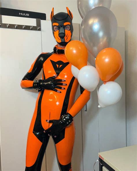 Pup Rally Mir Photographer On Twitter Rt Blacky Pup Absolute Love The New Suit 🧡🖤 Wish All