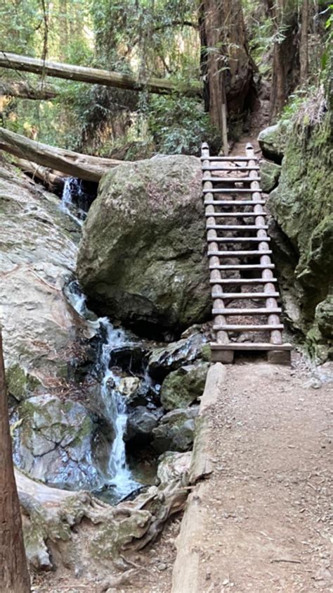 Matt Davis Dipsea Steep Ravine Loop Mt Tam Sp Ca Hiking