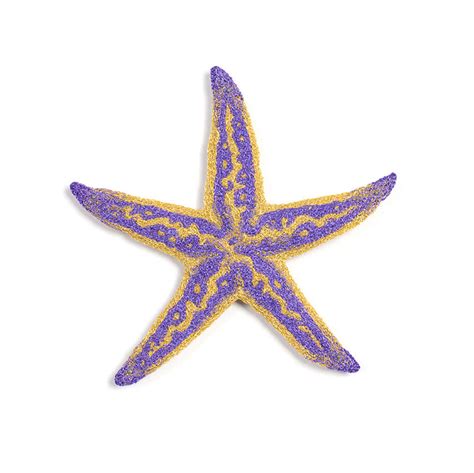 91 Northern Pacific Sea Star By Meredith Woolnough Artwork Archive