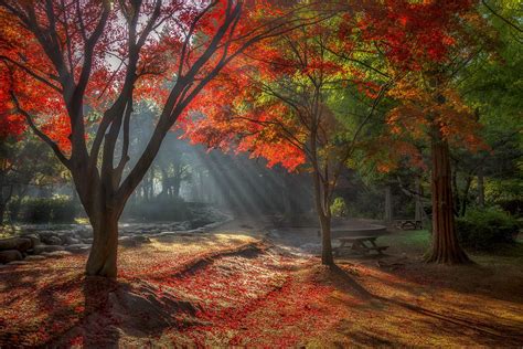 Autumn Morning By C1113 500px Autumn Morning Natural Scenery