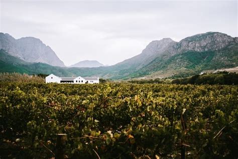 The Best Way To Get To Franschhoek From Cape Town Secret Cape Town