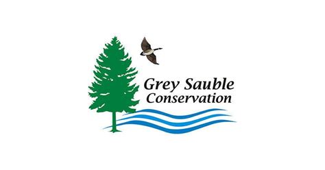 Grey Sauble Conservation Authority And Opg Teaching Kids Water Safety