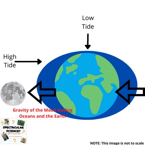 How Do Tides Work Spectacular Science
