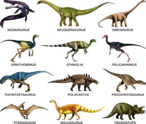 En El Nombre Del Padre Tipos De Dinosaurios Animales Prehistóricos
