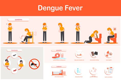 Infographics Of Dengue Feversymptoms Prevention And Treatments Vector