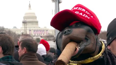 The show tells the story of several people who work at solar airways as well as the hong. Triumph the Insult Comic Dog Poops All Over Trump's ...