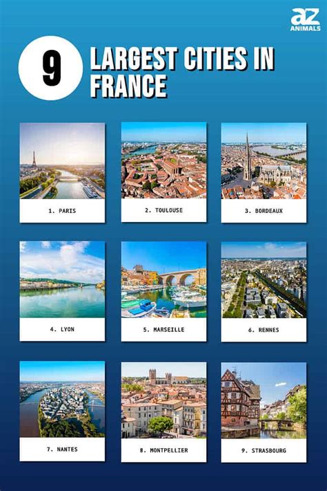 Discover The 9 Largest Cities In France A Z Animals