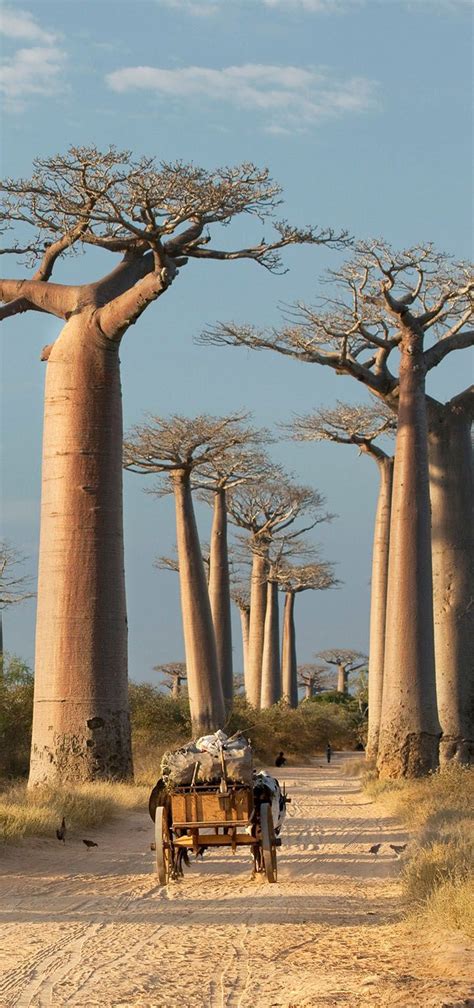 25 Best Places To Visit In Africa Before Its Too Late Cool Places To