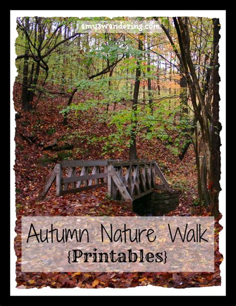 Take An Autumn Nature Walk Amys Wandering