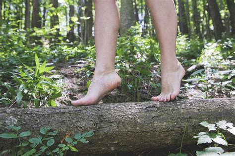 Girl Feet Close Up Of Girl Bare Feet Walking On A Tree Trunk Ad