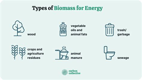 What Is Biomass The Challenges Of Harnessing Its Energy Potential