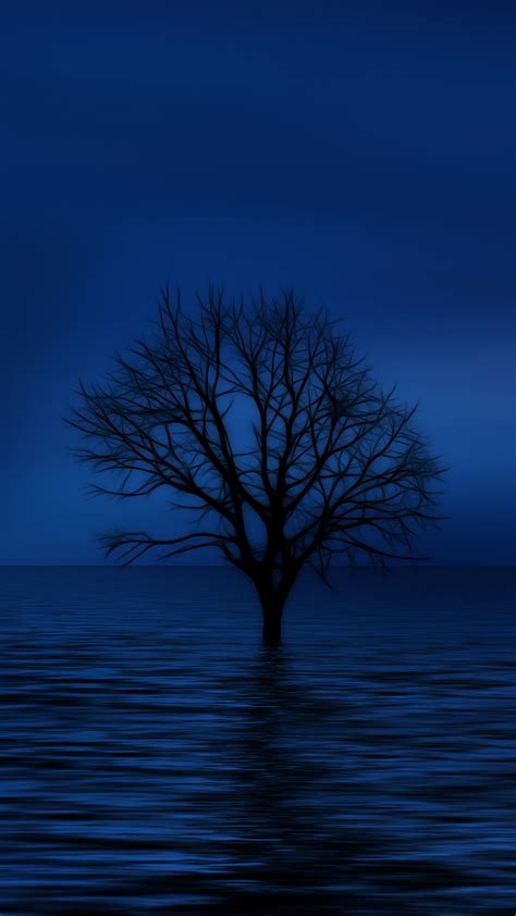Blue Tree Hd Wallpaper For Your Mobile Phone Fondos