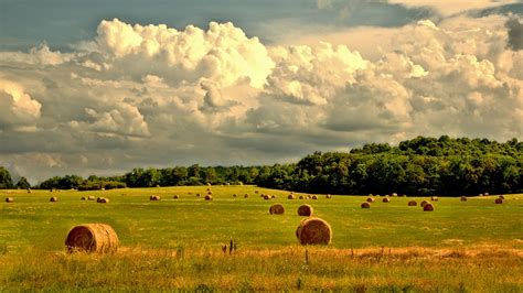 Rural Farm Countryside Free Photo On Pixabay