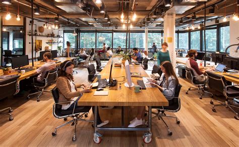 Serviced Office Solutions The Rising Popularity Of Shared Office Spaces