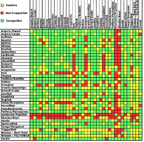 Marine Aquarium Fish Compatibility Chart