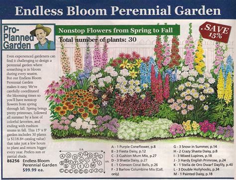 10 Plan A Perennial Flower Bed