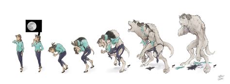 Werewolf Transformation Drawings