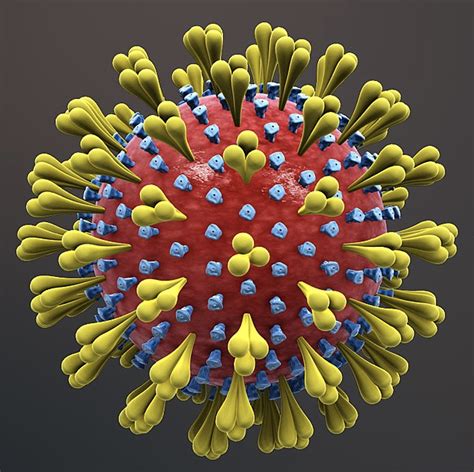 2019 Novel Coronavirus 2019 Ncov Update Uncoating The Virus