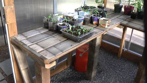 Inside the New Greenhouse - Modified One Stop Gardens / Harbor Freight