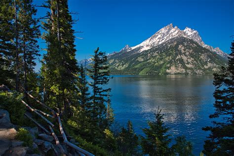 Best Time To See Jenny Lake In Wyoming 2024 When To See Roveme