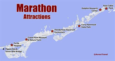 8 Best Things To Do In Marathon Florida Avrex Travel