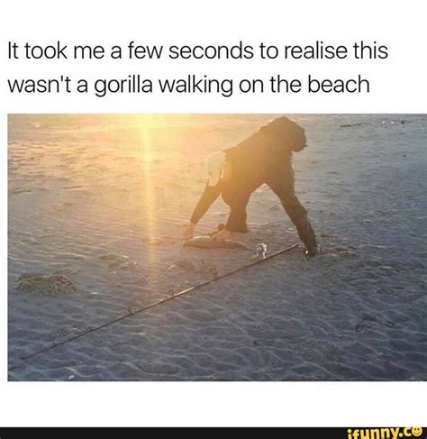It Took Me A Few Seconds To Realise This Wasnt A Gorilla Walking On